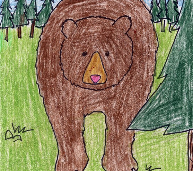 grizzly bear drawing step by step